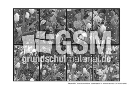 Frühblüher-Puzzle-SW.pdf